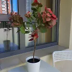 Appartement Modern In A New Building *