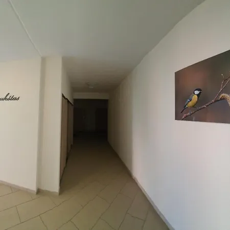 Modern In A New Building 公寓