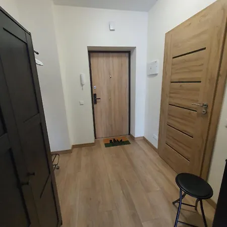 公寓 Modern In A New Building 克莱佩达