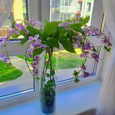 Modern In A New Building * Klaipėda