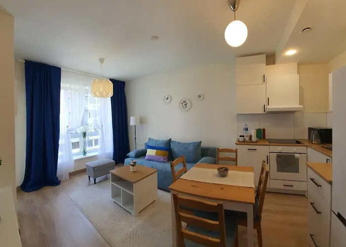 Modern In A New Building 公寓 克莱佩达