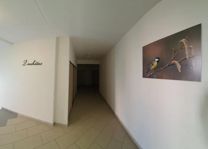 Modern In A New Building 公寓