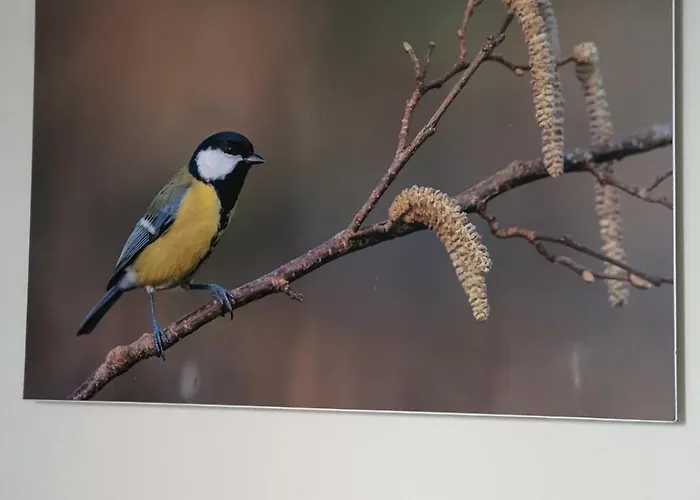 Modern In A New Building