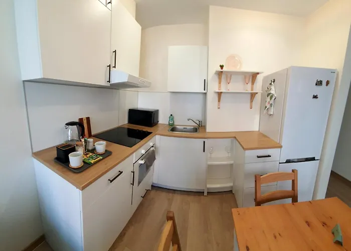 Modern In A New Building 公寓 克莱佩达