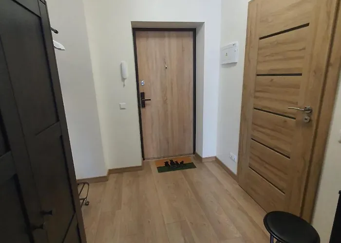 公寓 Modern In A New Building 克莱佩达