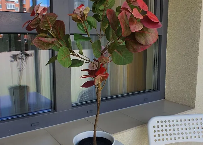 公寓 Modern In A New Building *