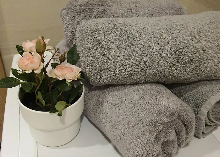 Modern In A New Building