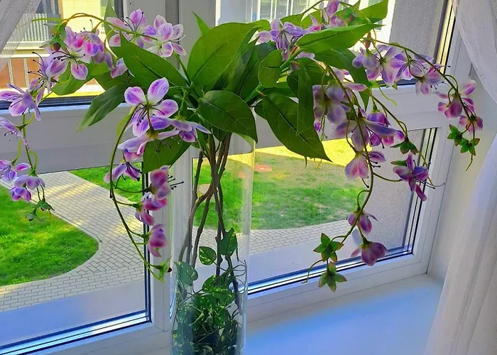 Modern In A New Building * 克莱佩达